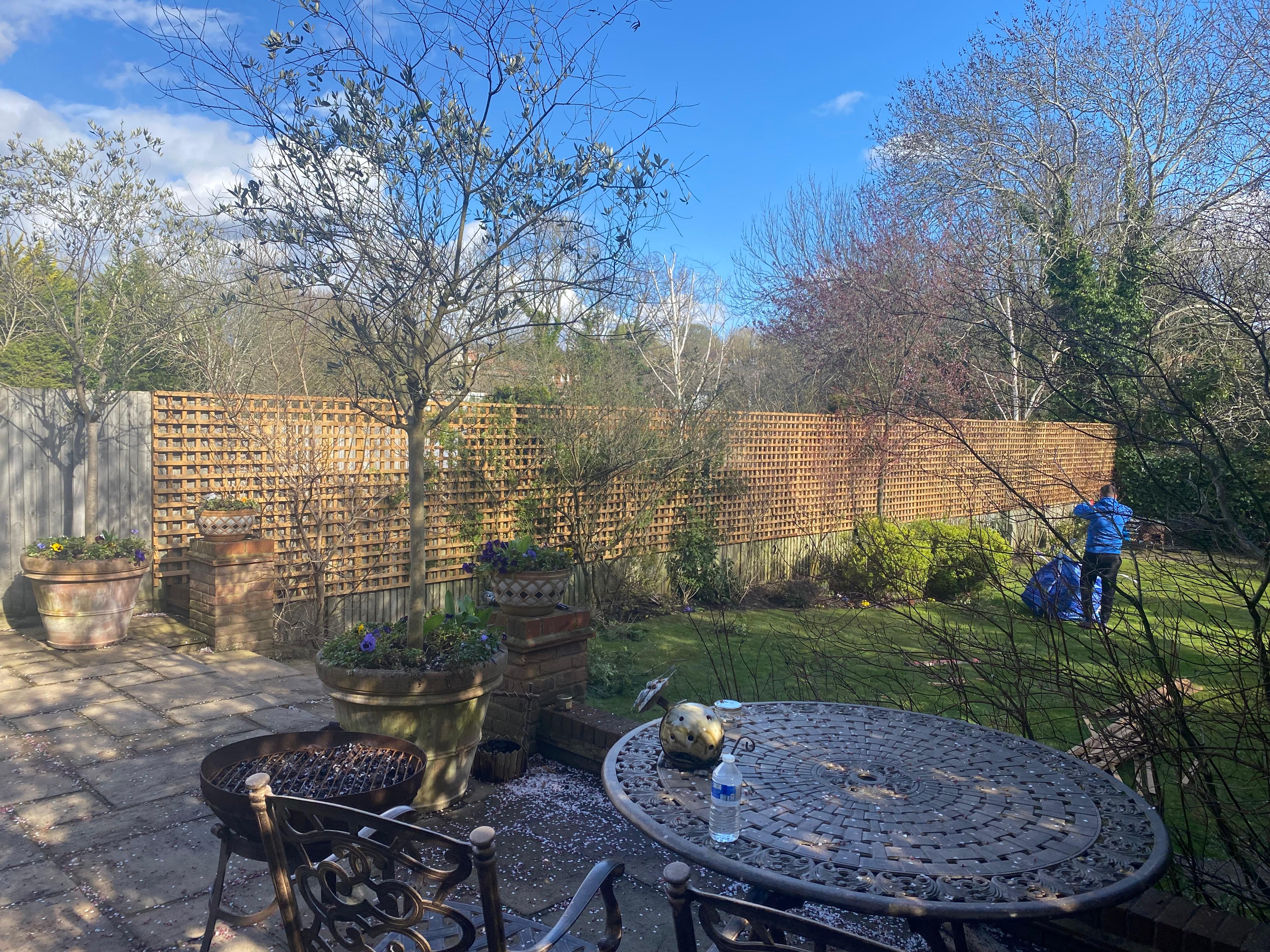 Trellis installation