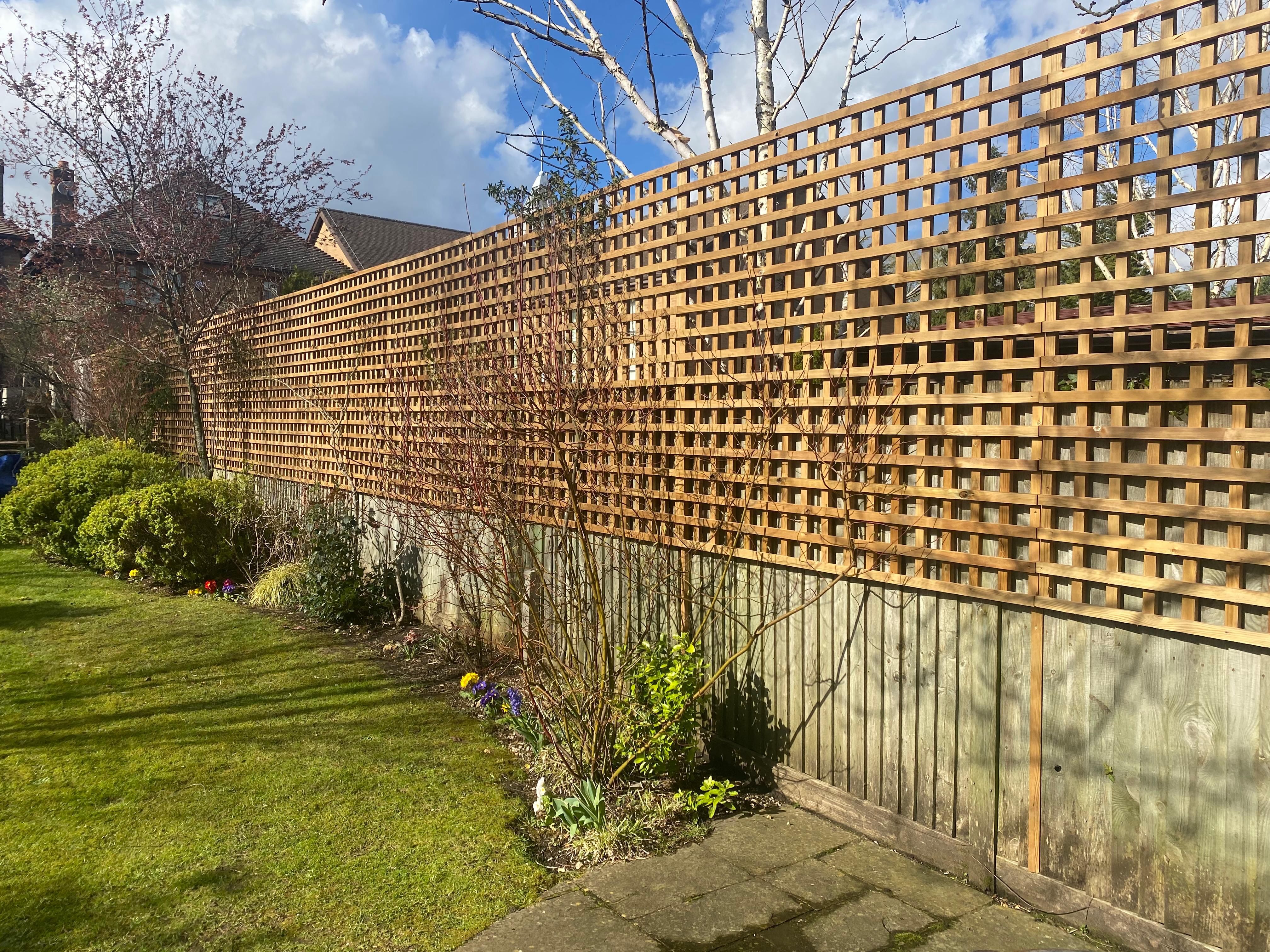 Trellis installation