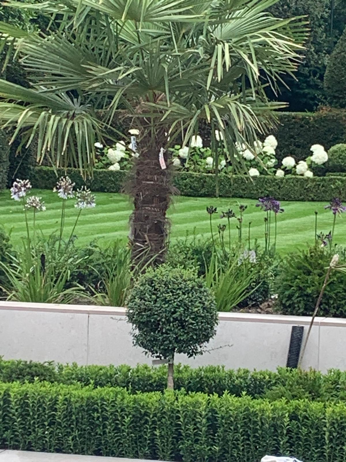 Garden maintenance project
