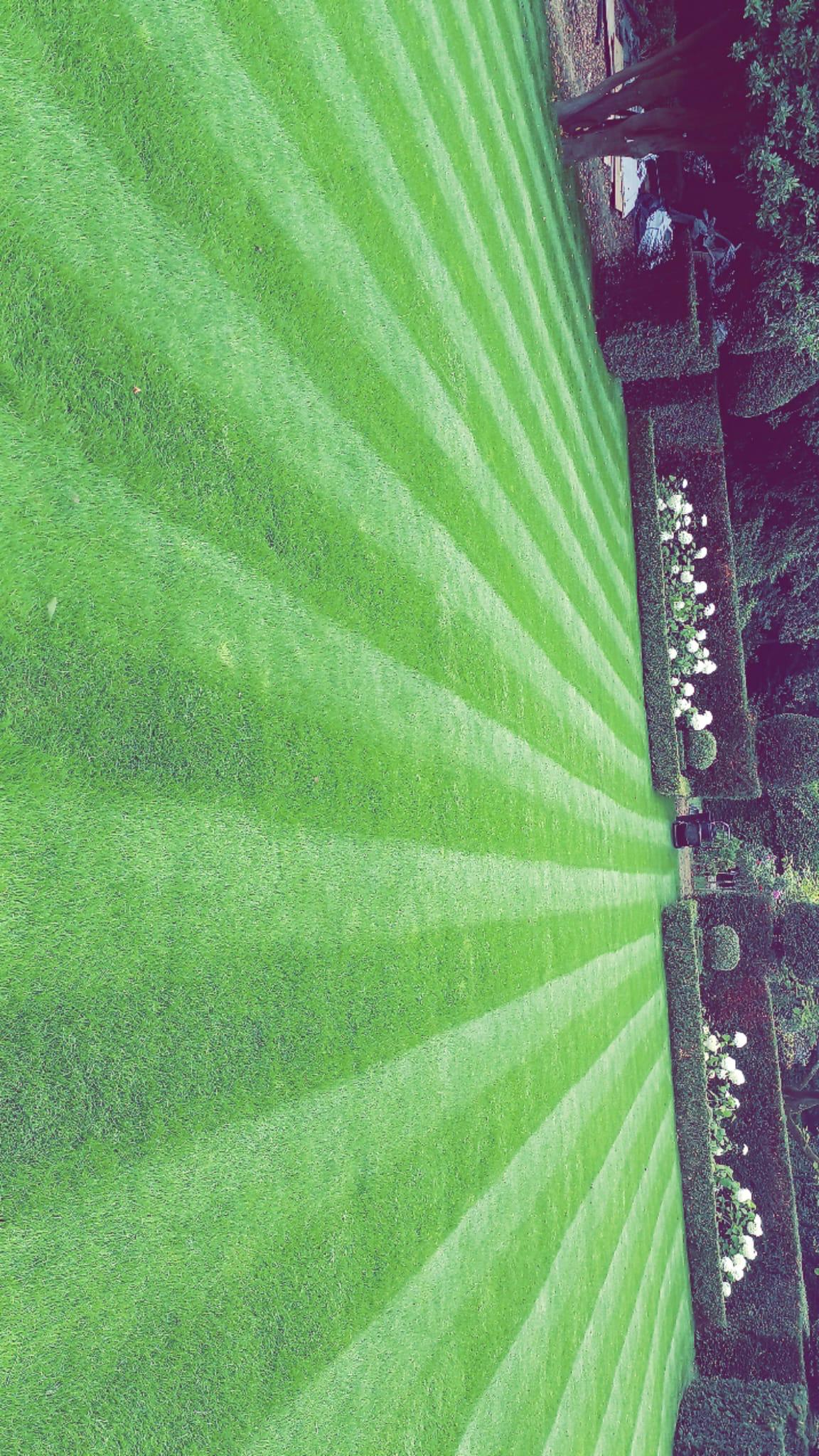 Garden maintenance after