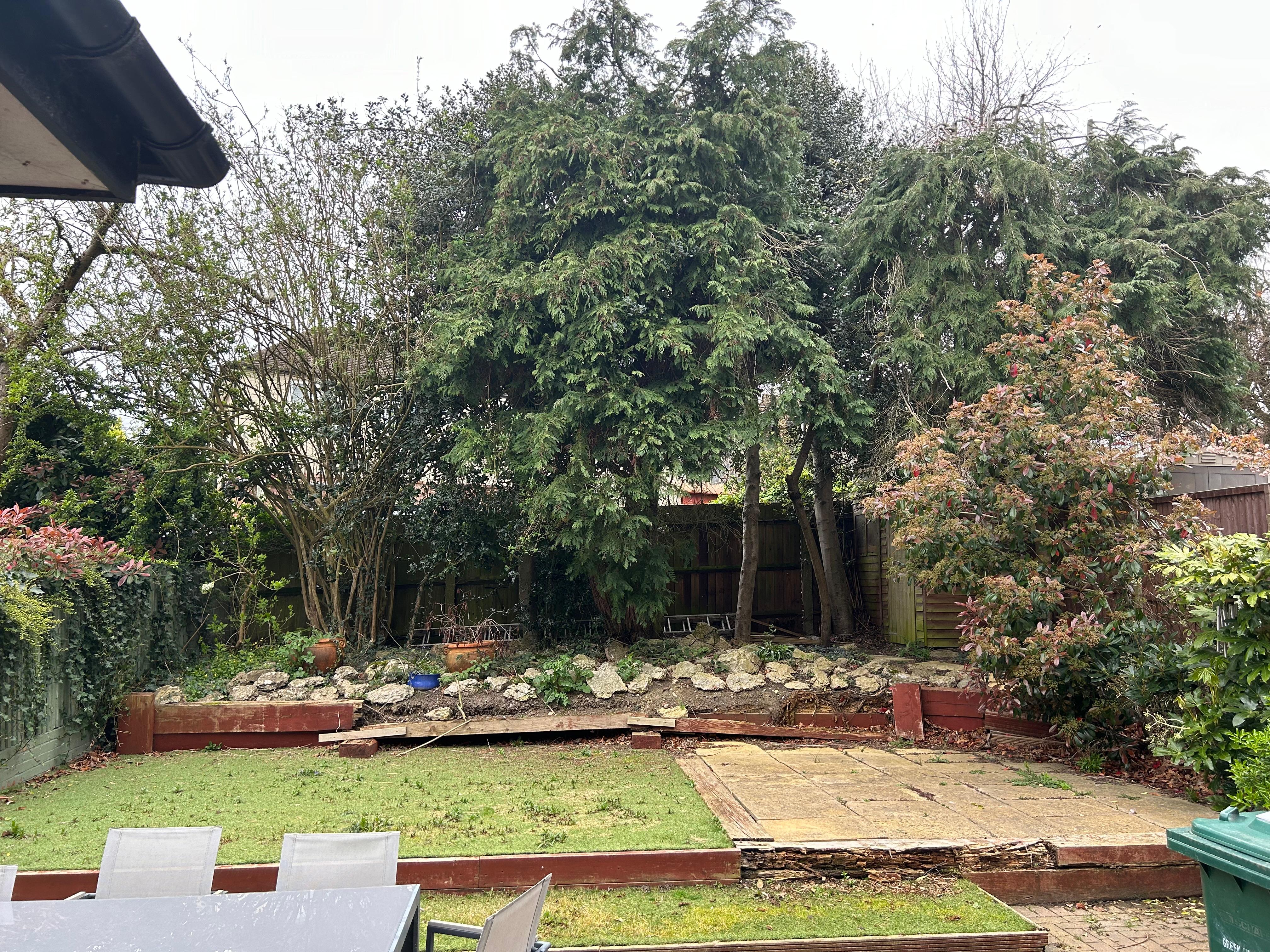 Landscaping before