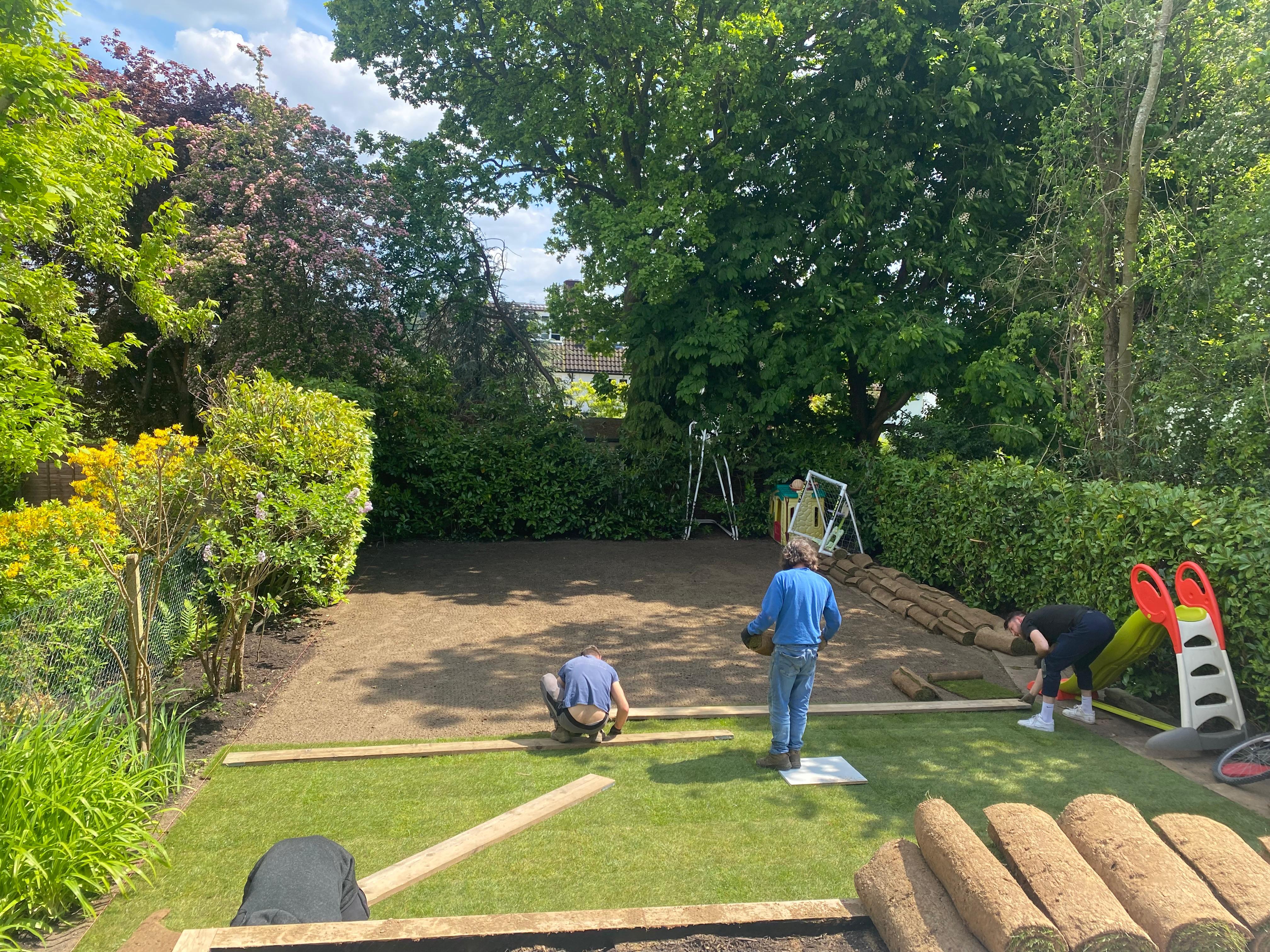 New lawn installation