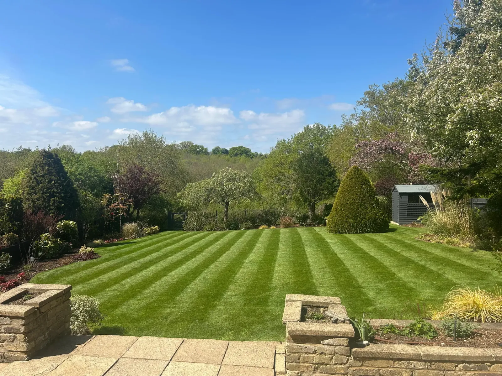Teena project completed: stripe-cut lawn with fresh border planting and topiary