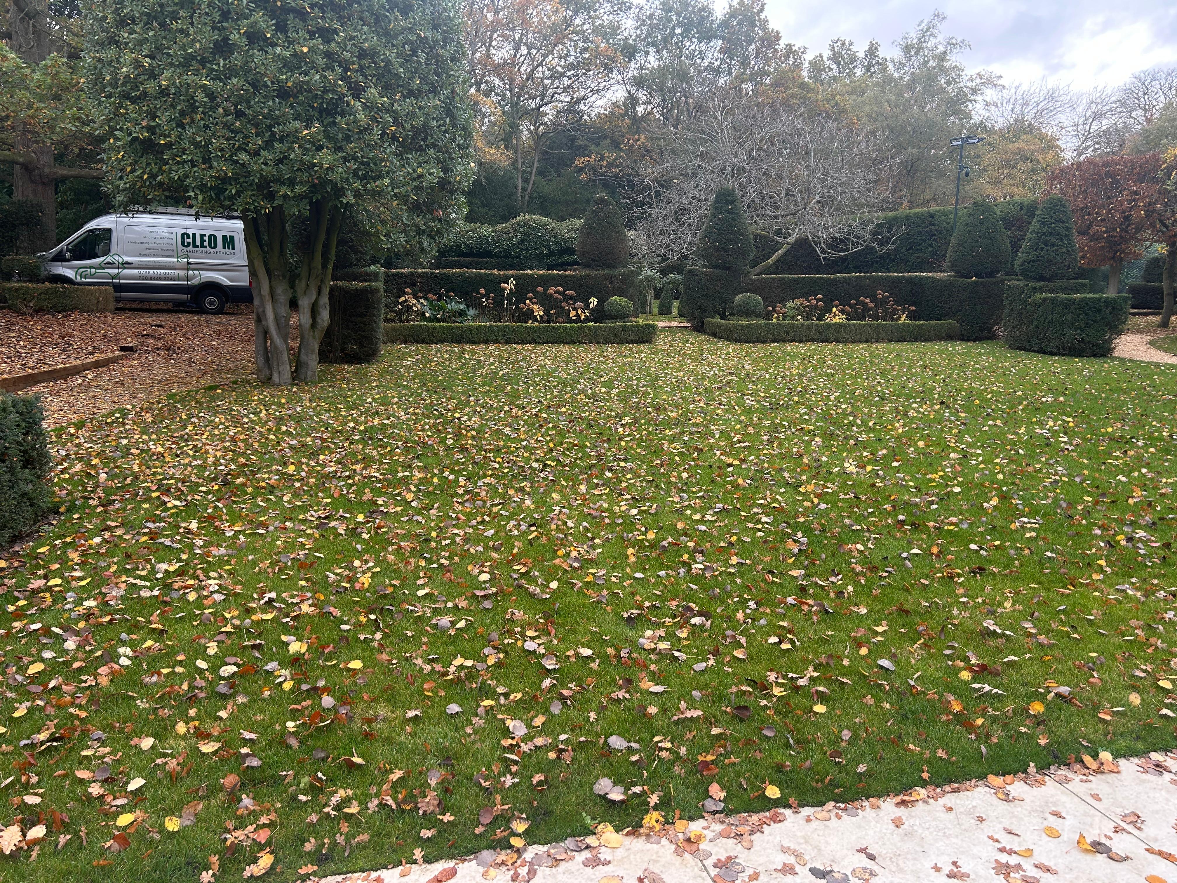 Garden Maintenance