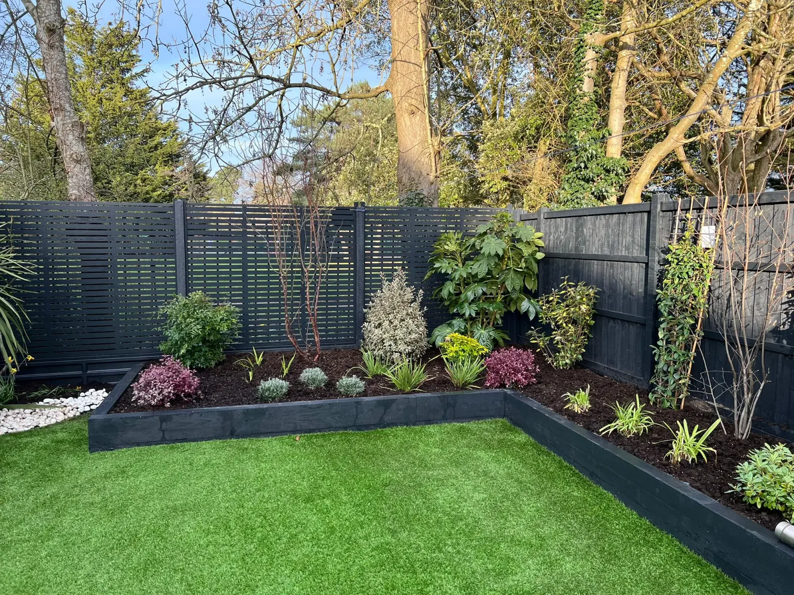 After: mature planted corner with established shrubs and slatted black trellis screen